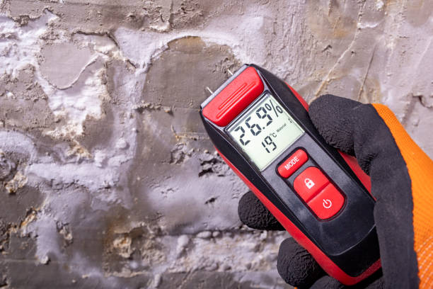 Best Mold Testing and Removal  in Old Hill, CT