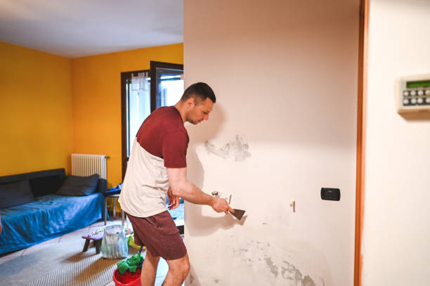 Best Office Mold Removal Services  in Old Hill, CT